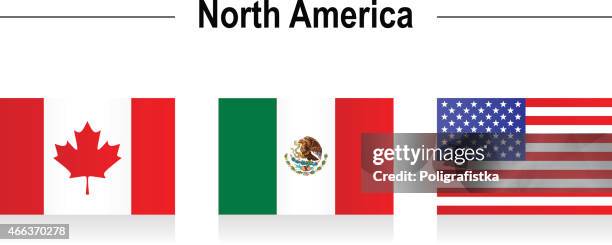flaggen-north america - mexico flag stock-grafiken, -clipart, -cartoons und -symbole