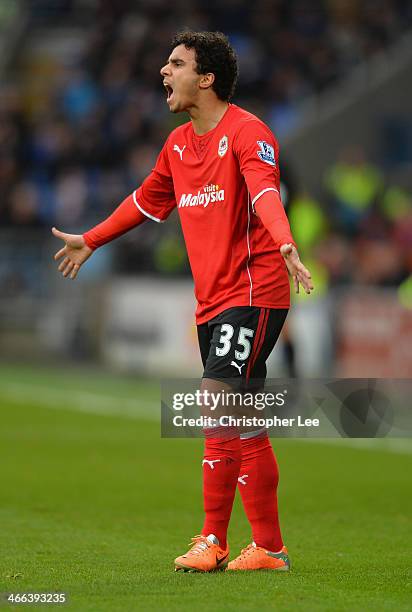 Fabio Da Silva of Cardiff City in action during the Barclays Premier League match between Cardiff City and Norwich City at Cardiff City Stadium on...