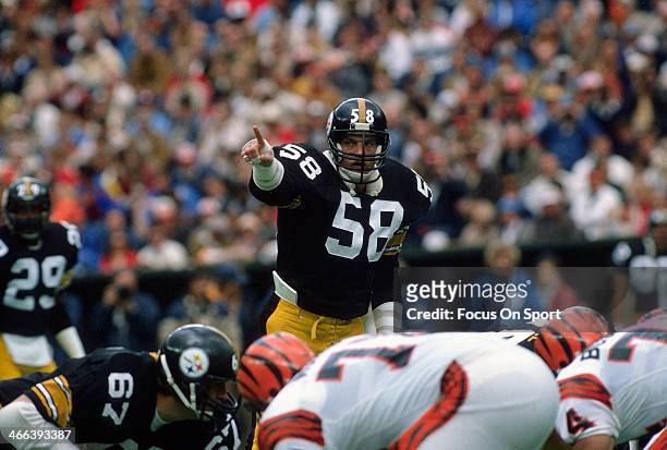 Jack Lambert of the Pittsburgh Steelers in action against the Cincinnati Bengals during an NFL football game December 4, 1983 at Three Rivers Stadium...