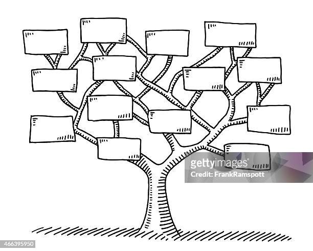 tree branches with blank signs drawing - genealogy stock illustrations