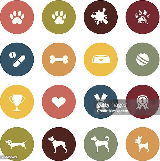 ilustraciones, imágenes clip art, dibujos animados e iconos de stock de perro mascota icono - dog bowl
