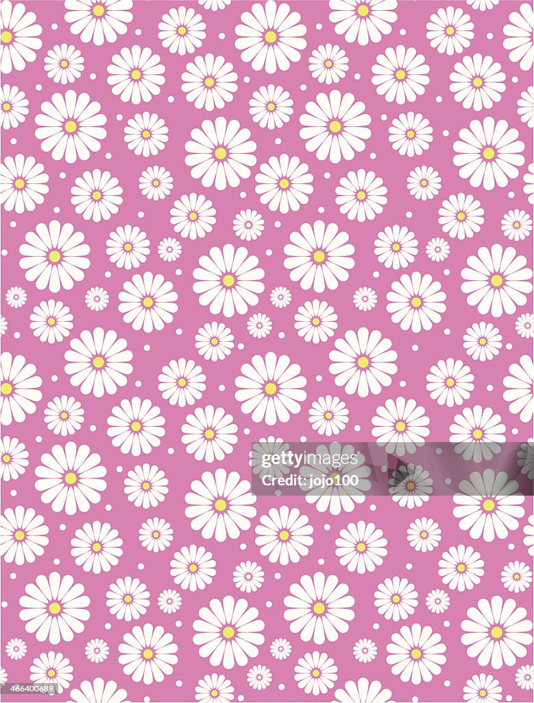 Simple Fushcia & blanco rosa Margarita polca patrón de repetición