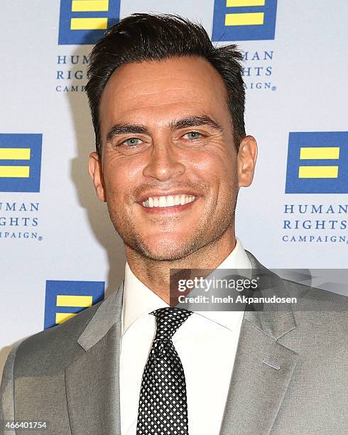 Actor Cheyenne Jackson attends the 2015 Human Rights Campaign Los Angeles Gala Dinner at JW Marriott Los Angeles at L.A. LIVE on March 14, 2015 in...