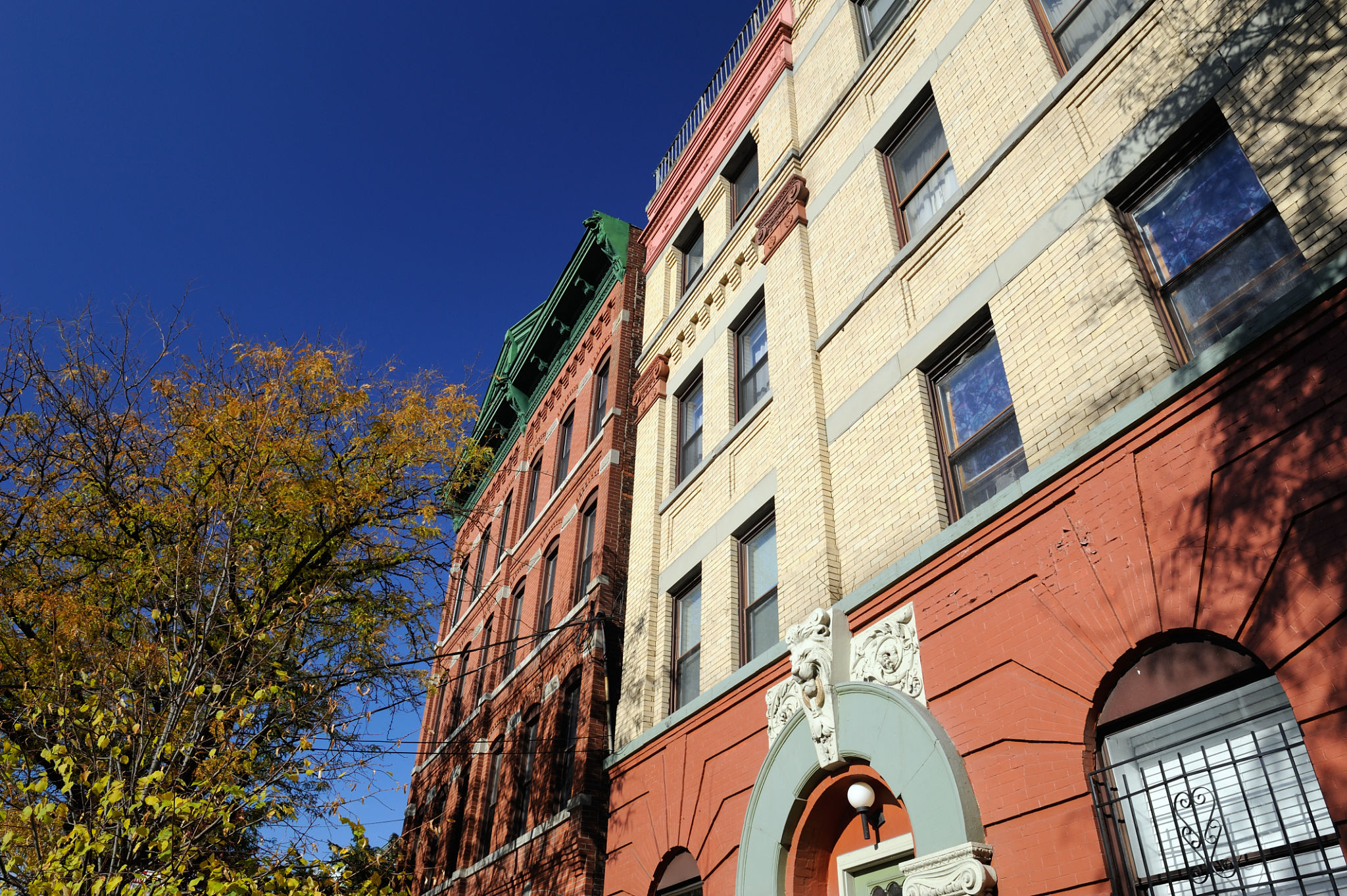 elderly care Brooklyn