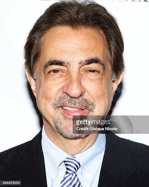 Actor Joe Mantegna attends the salute to heroes service gala to benefit The National Foundation For Military Family Support at The Majestic Downtown...