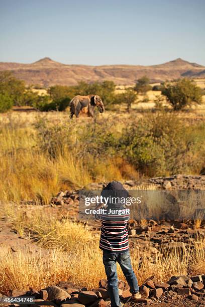 boy watching an elephant through binoculars on safari in africa - safari stockfoto's en -beelden
