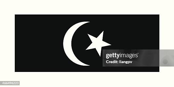 flag of terengganu - terengganu stock illustrations