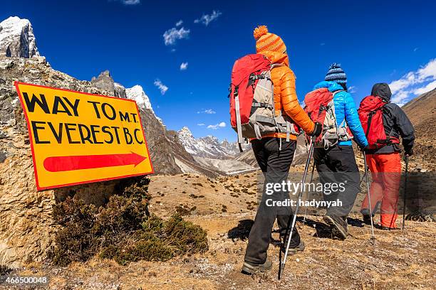 group of trekkers on the way to everest base camp - everest stock pictures, royalty-free photos & images