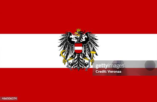 flagge von österreich - austria flag stock-grafiken, -clipart, -cartoons und -symbole