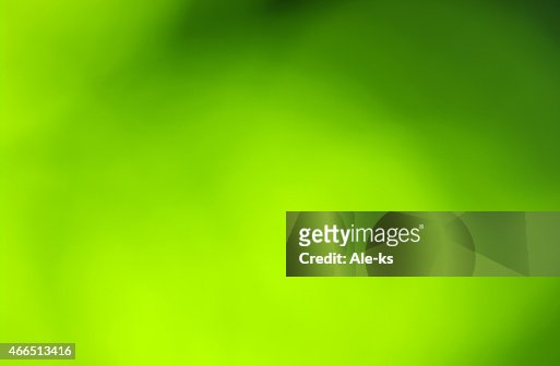 Fondo Verde Claro Foto de stock - Getty Images