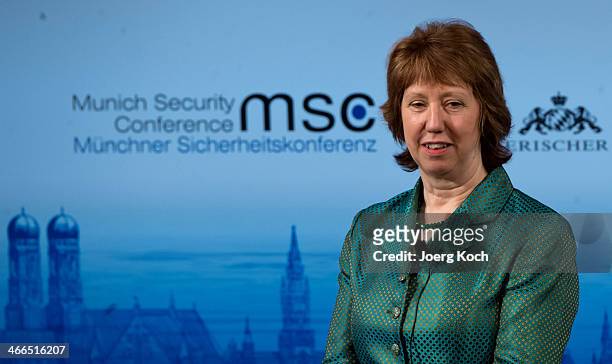 European Union High Representative for Foreign Affairs and Security Policy Catherine Ashton attends a panel discussion during the 50th Munich...