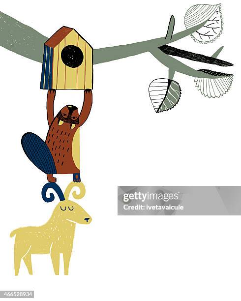 beaver and goat putting up bird house - american aspen tree drawing stock illustrations