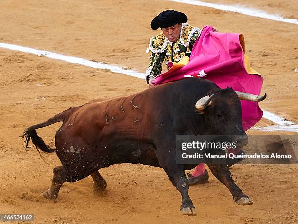 Spanish bullfighter Vicente Ruiz 'El Soro' performs during a bullfighting as part of the Las Fallas Festival in a bullfight on March 16, 2015 in...