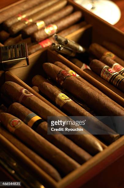 cigar - cigar stock-fotos und bilder