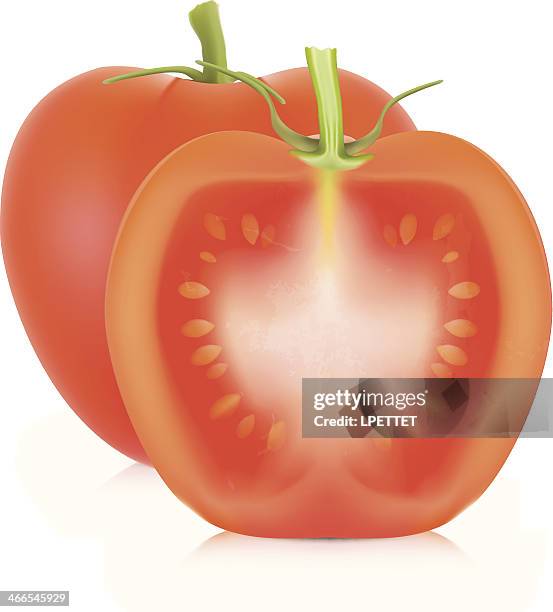 tomato - vector illustration - diced tomatoes stock illustrations