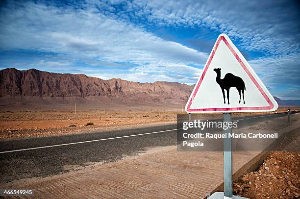 Camel sign next to a deserted road crossing the dry hammada.