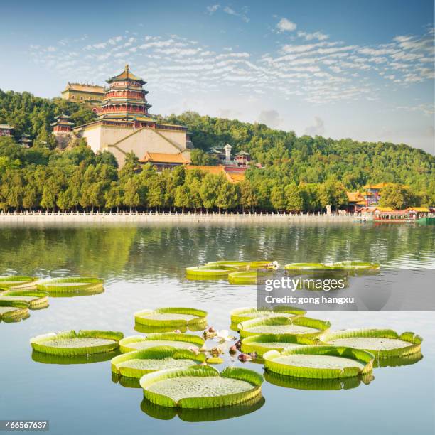 paisaje de palacio de verano - pekín fotografías e imágenes de stock