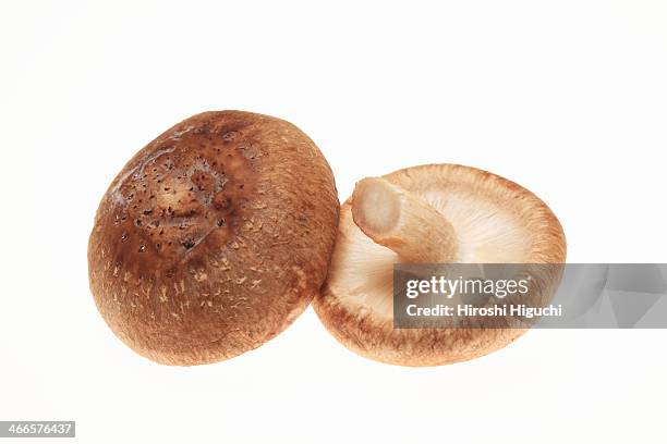shiitake mushroom - shiitake mushroom stock pictures, royalty-free photos & images