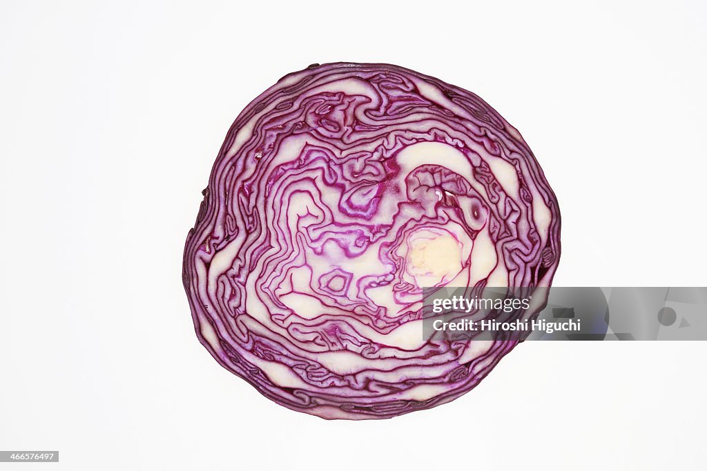 Red Cabbage