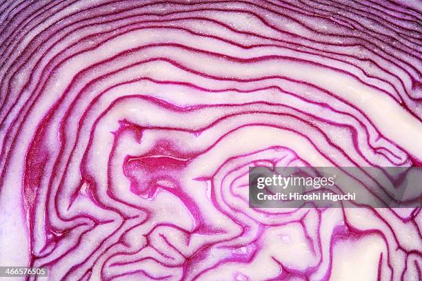 red cabbage - full frame vegatable stock pictures, royalty-free photos & images