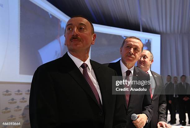 Turkey's President Recep Tayyip Erdogan , Azerbaijan's President Ilham Aliyev and Georgia's President Giorgi Margvelashvili are seen during the...