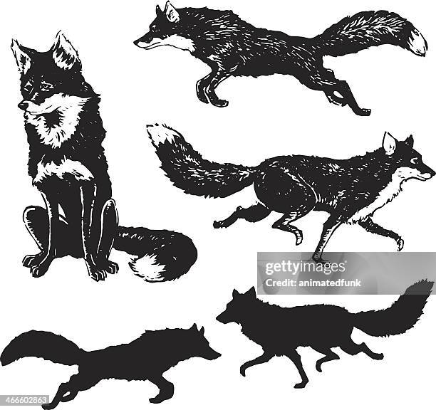 fox illustration - furry fox stock illustrations
