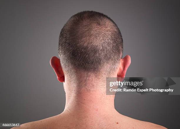 head of a man who has his back - shaved-buzz-cut-back-of-head photos et images de collection