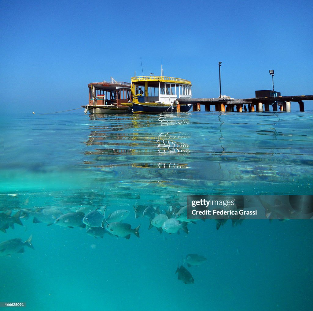 Dhonis by the Jetty