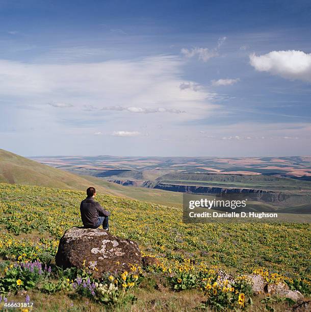 man sitting on large rock overlooking wildflowers - outdoor guy sitting on a rock stockfoto's en -beelden