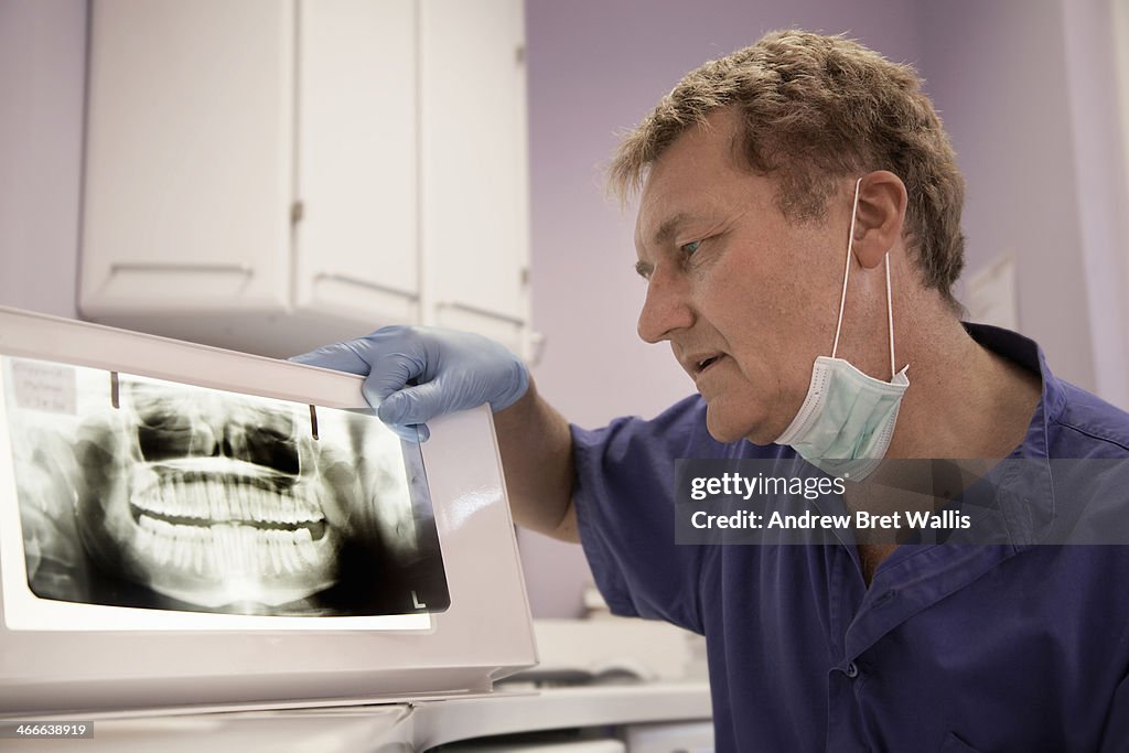Male dentist examins a dental x-ray