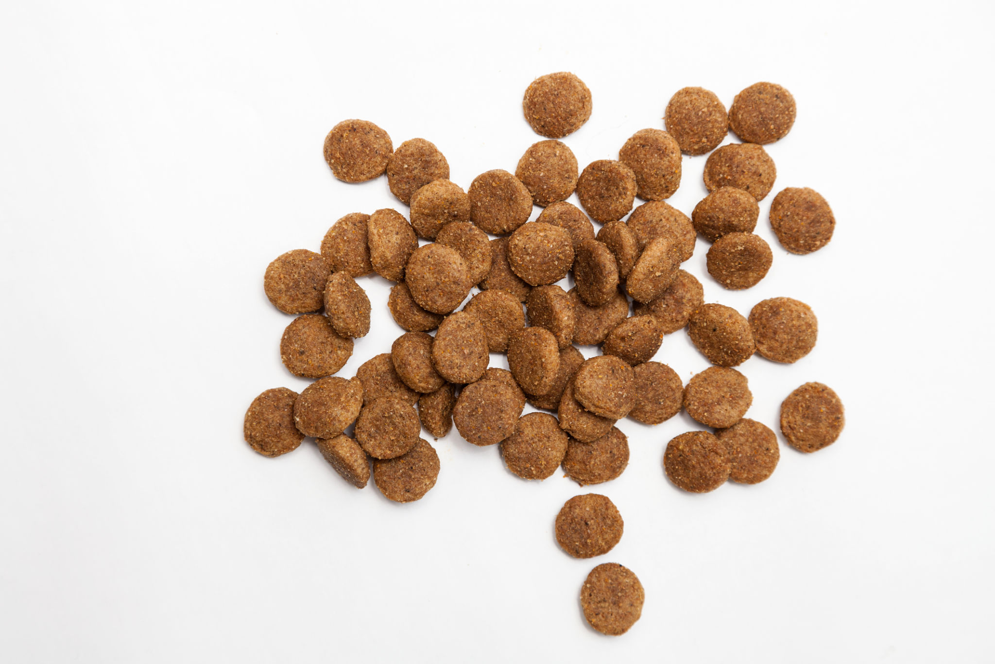 dog food