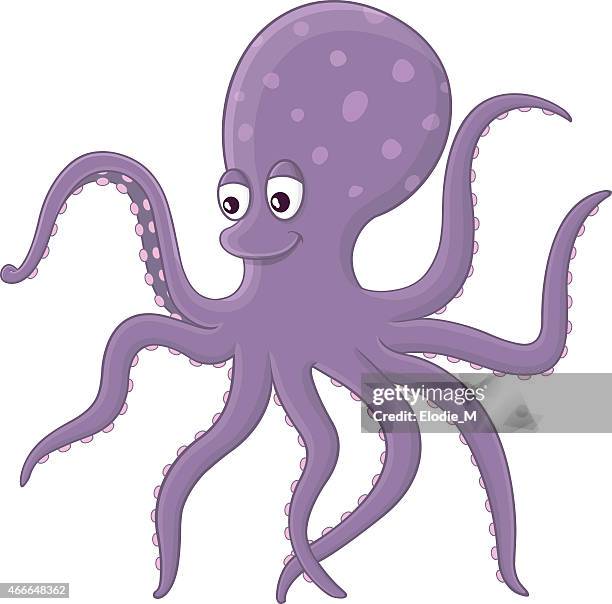 dark purple octopus / purple octopus - lesser octopus stock illustrations
