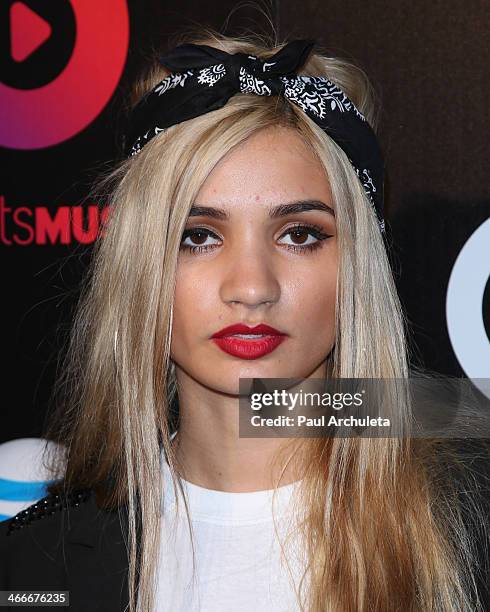 Singer Pia Mia attends the official launch party for Beats Music from Beats By Dr. Dre at Belasco Theatre on January 24, 2014 in Los Angeles,...