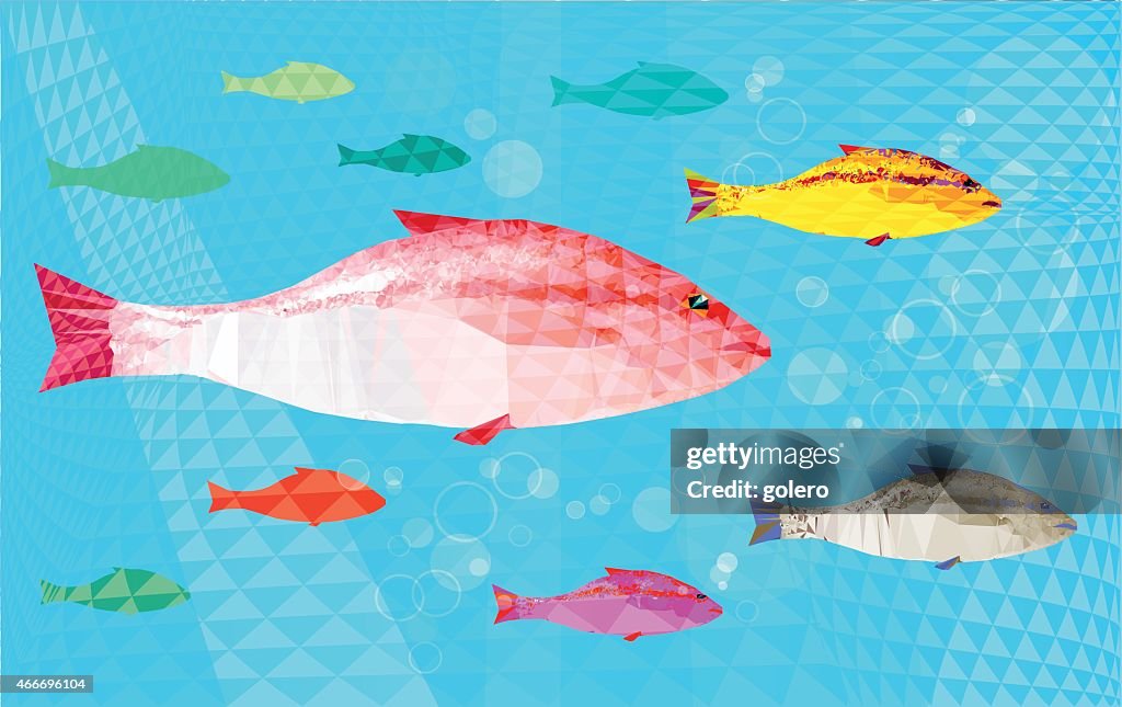Colorful Fish Graf Colorfule Fishes High-Res Vector Graphic - Getty Images