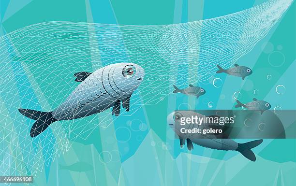 ilustrações de stock, clip art, desenhos animados e ícones de apanhado na rede - fishnet