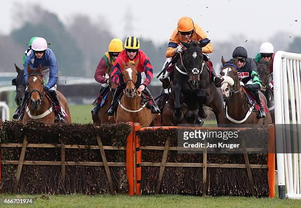 Satanic Beat ridden by Brian Harding jumps ahead of the group in the ApolloBet £50 Free Bets Handicap Hurdle Race during Irish day at Haydock Races...