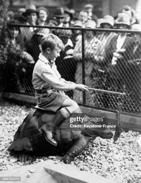 Circa 1920: A boy riding a turtle during a race at the London Zoo, circa 1920 in London, United Kingdom.