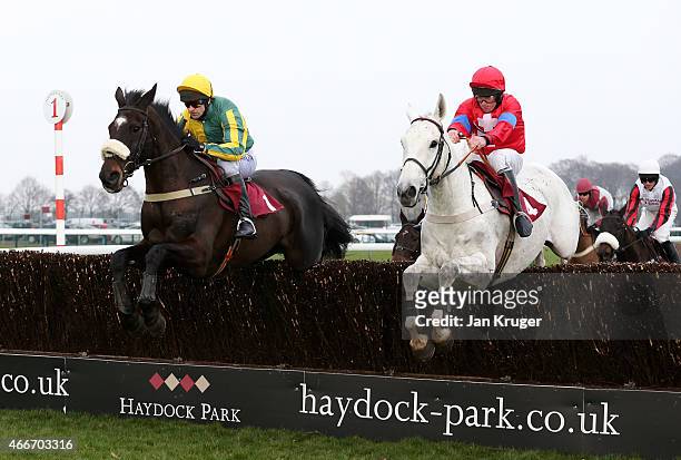 Carrighoun ridden by Michael McAlister jumps the last to win from Galway Jack ridden by Andrew Thornton in the ApolloBet Free Download App Handicap...