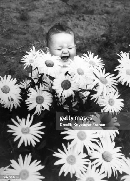 Circa 1970: Young girl laughing behind daisies in a garden, circa 1970 in United Kingdom.