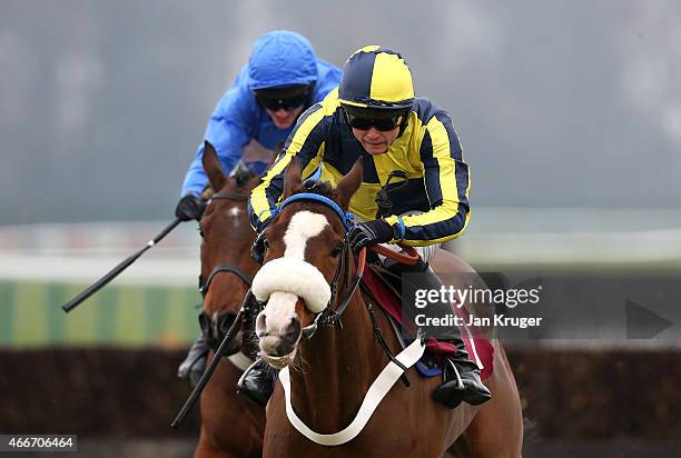 Three Face West ridden by James Cowley wins the ApolloBet In Play Betting ÒFixed BrushÓ NovicesÕ Hurdle Race during Irish day at Haydock Races on...