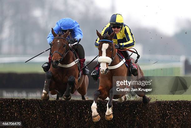 Three Face West ridden by James Cowley wins the ApolloBet In Play Betting ÒFixed BrushÓ NovicesÕ Hurdle Race during Irish day at Haydock Races on...