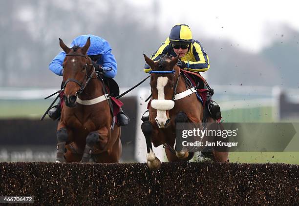 Three Face West ridden by James Cowley wins the ApolloBet In Play Betting ÒFixed BrushÓ NovicesÕ Hurdle Race during Irish day at Haydock Races on...