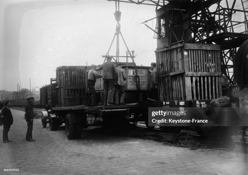Arrival Of Animals For The Zoo De Vincennes