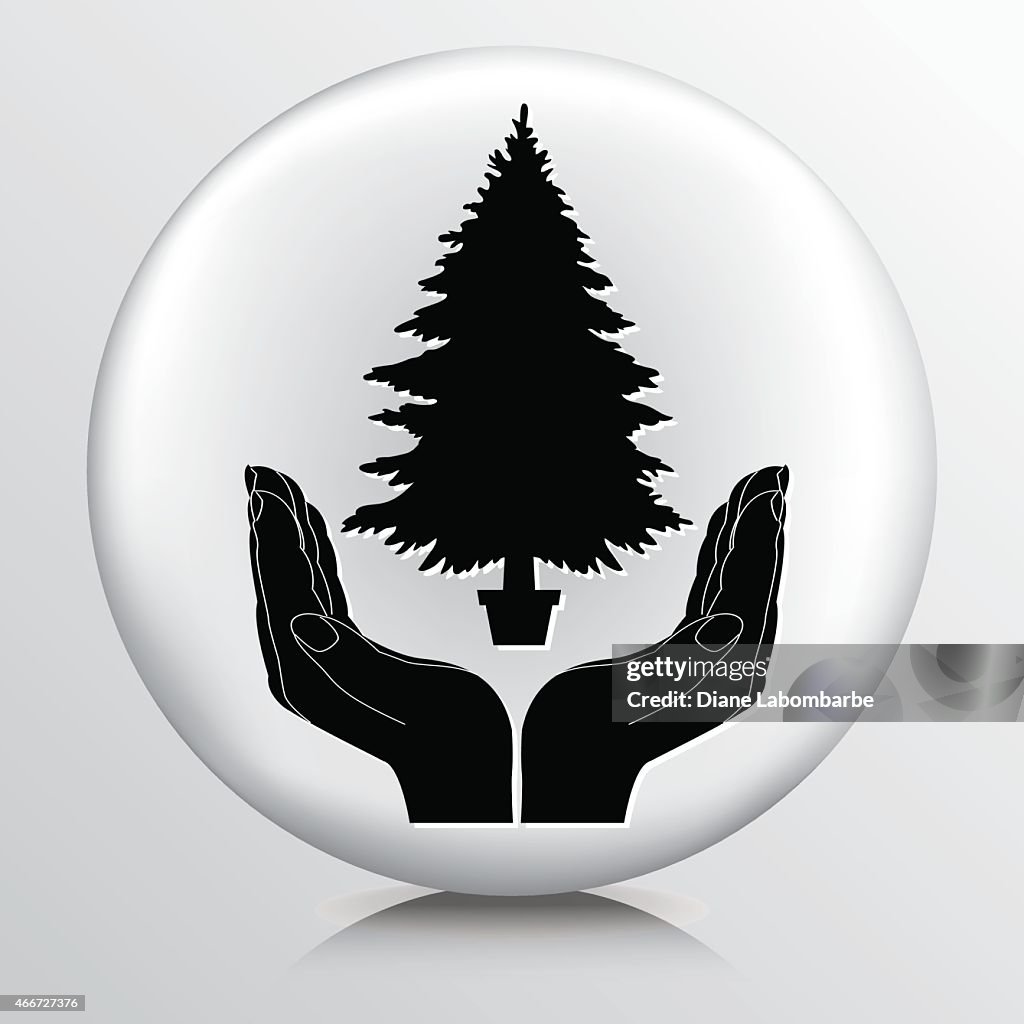 Pair of hands cupping a Christmas tree
