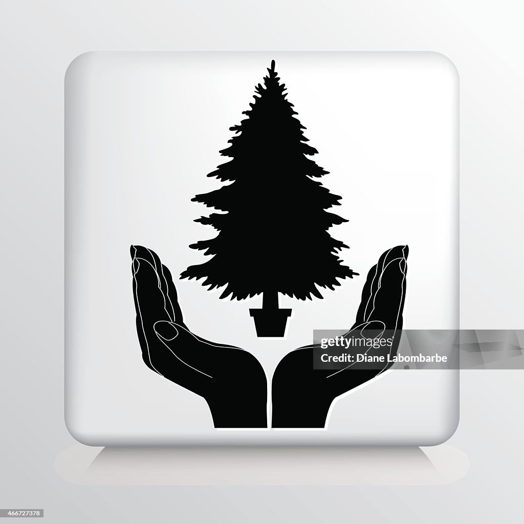 Square Icon With Two Hands Cupping a Christmas Tree Silhouette