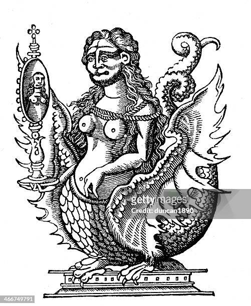 the siren - mermaid stock illustrations