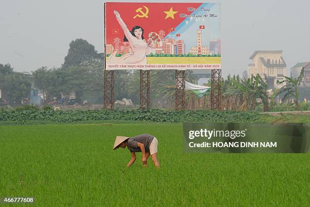 This picture taken on March 18, 2015 shows a farmer working on a rice field next to a large propaganda poster featuring the ruling communist party in...