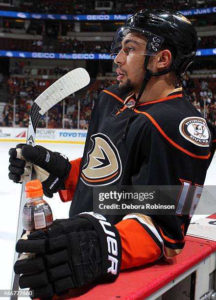 Emerson Etem of the Anaheim Ducks looks on during warm ups before the game against the Los Angeles Kings on March 18, 2015 at Honda Center in...