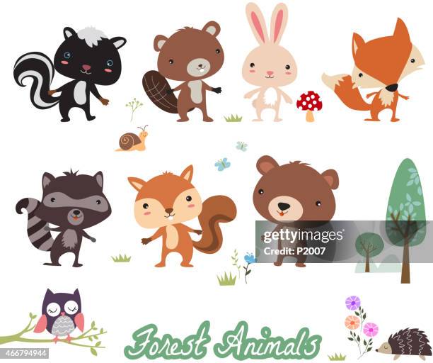 forest animals - hare isolated stock illustrations