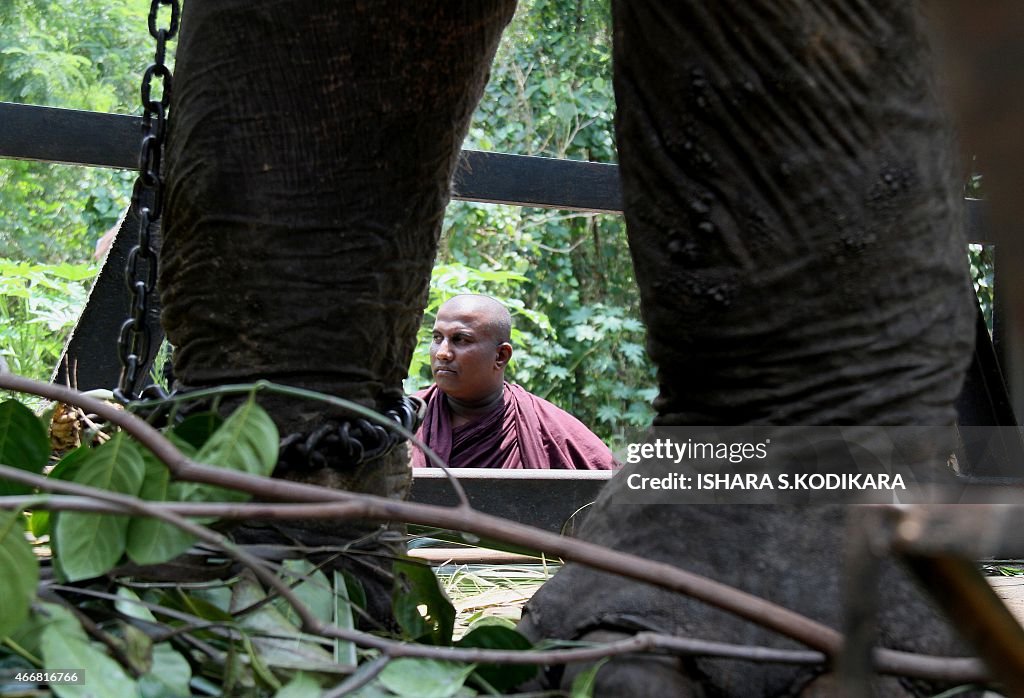 SRI LANKA-PROTEST-ELEPHANTS